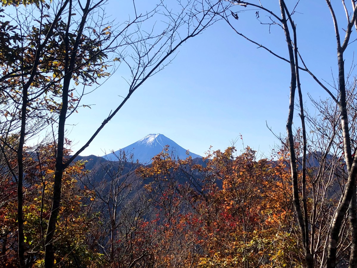 Sasagogangaharasuriyama / 笹子雁ヶ腹摺山
