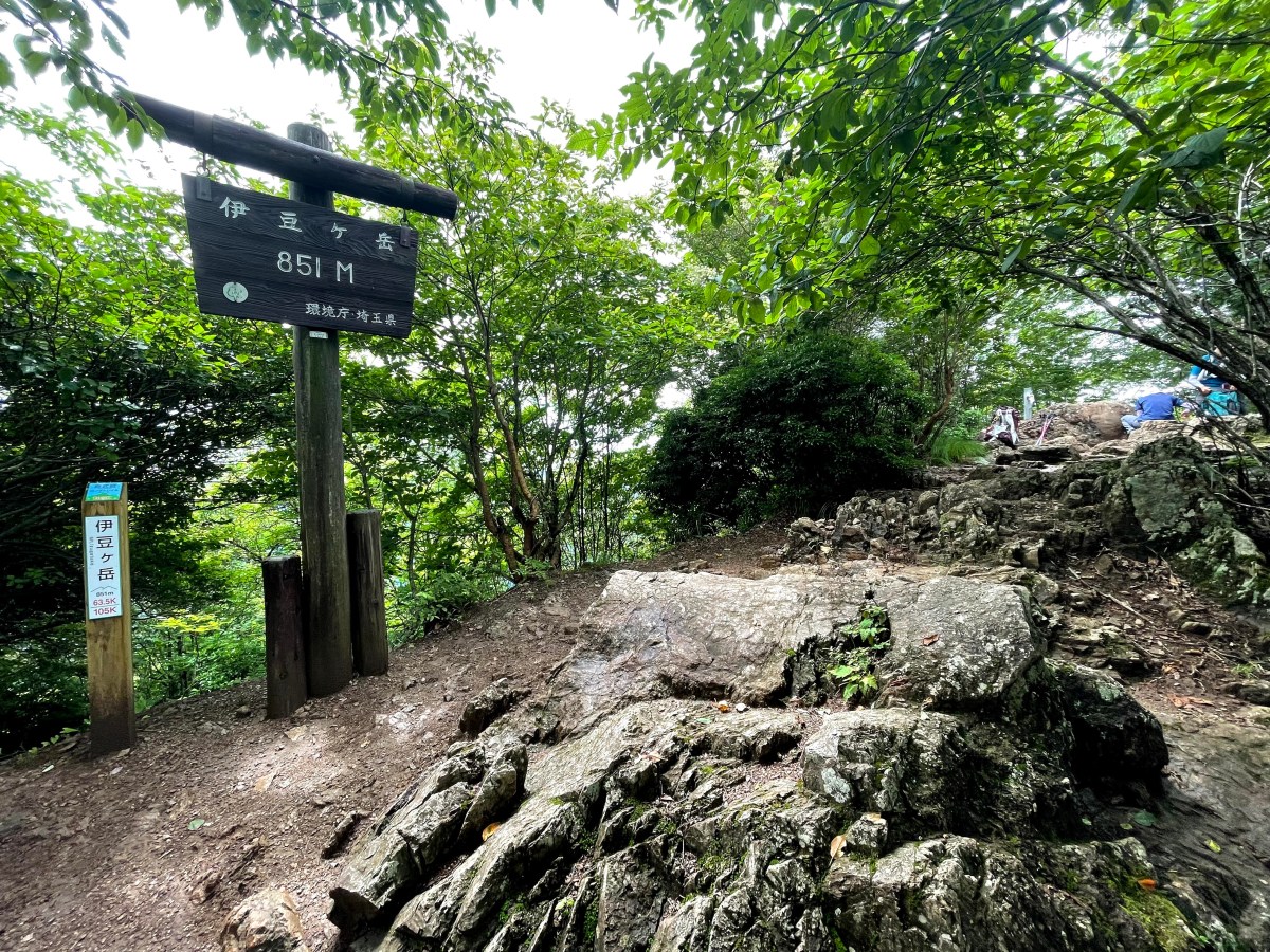 Izugatake / 伊豆ヶ岳