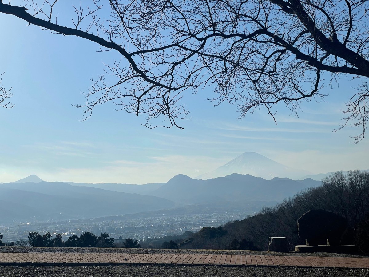 Fudou-yama / 不動山