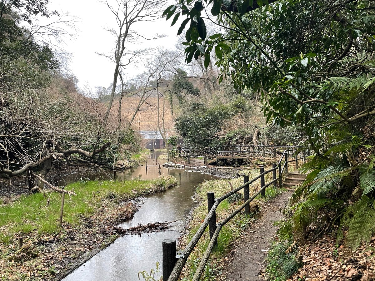 Tenen Hiking Course /&nbsp;天園ハイキングコース