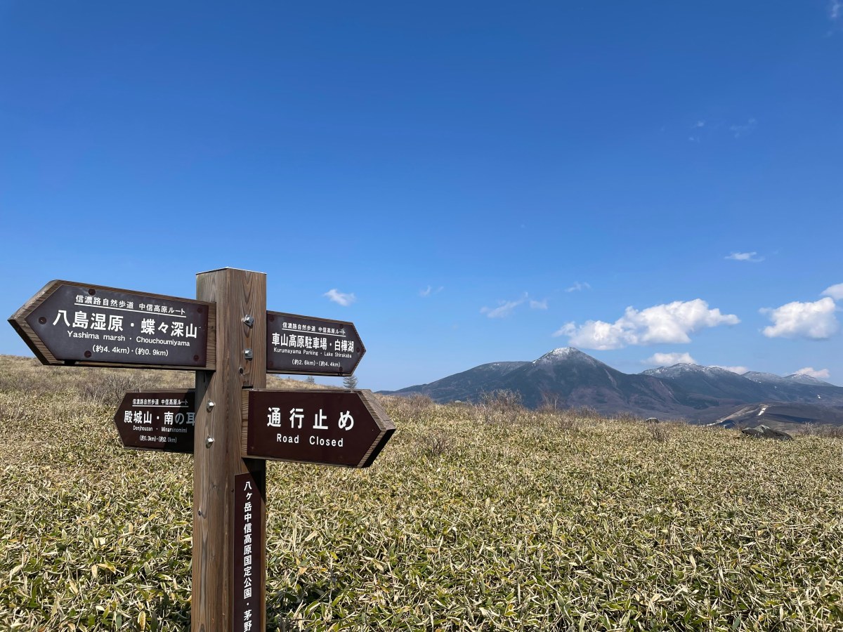 Kirigamine (Kuruma-yama) /&nbsp;霧ヶ峰（車山）