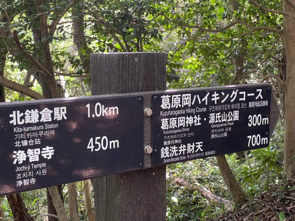 Genji-yama / 源氏山