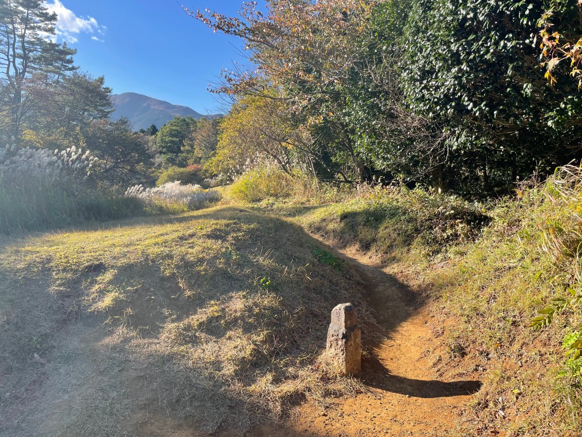 Sengen-yama・Takanosu-yama / 浅間山・鷹巣山
