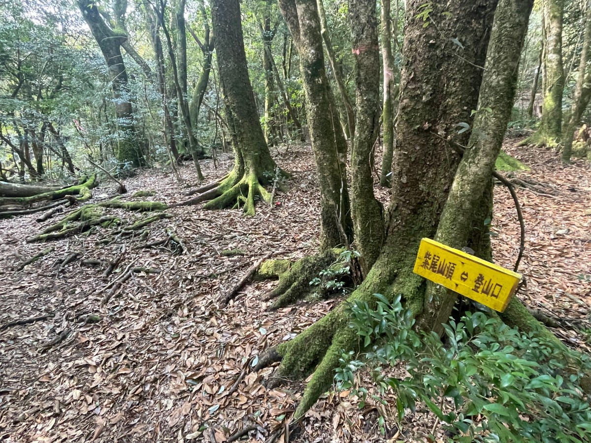 Shibi-san / 紫尾山