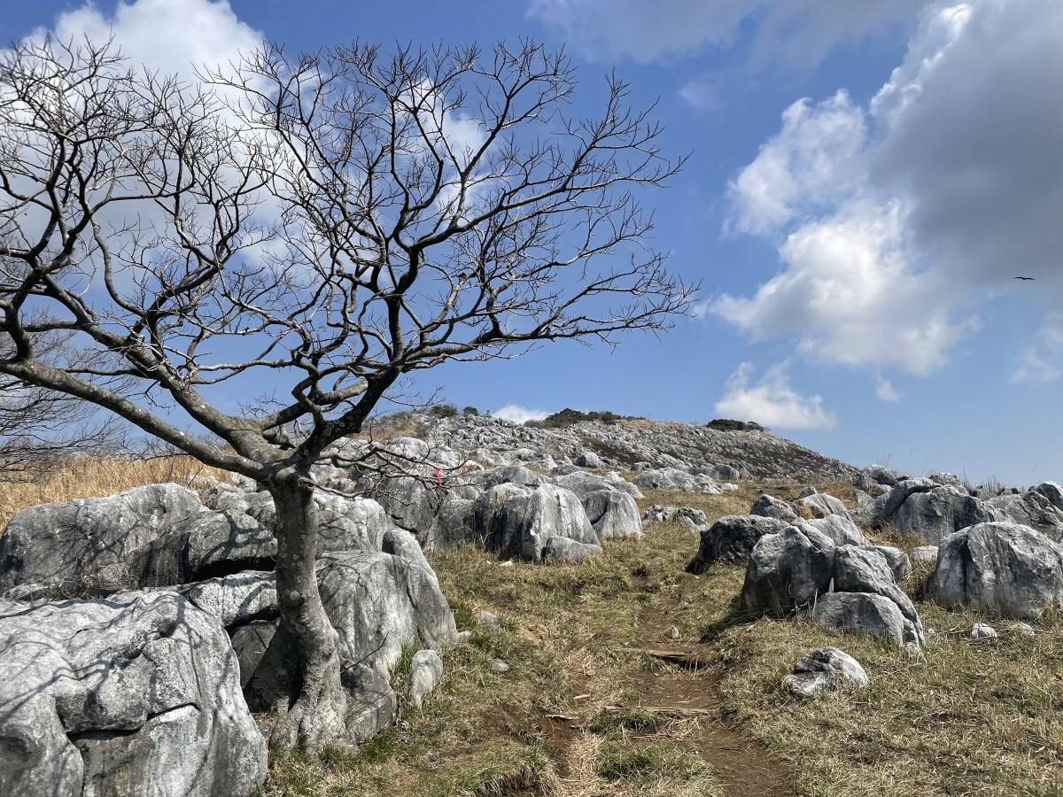 Hirao-dai (Nukiyama) /&nbsp;平尾台（貫山）