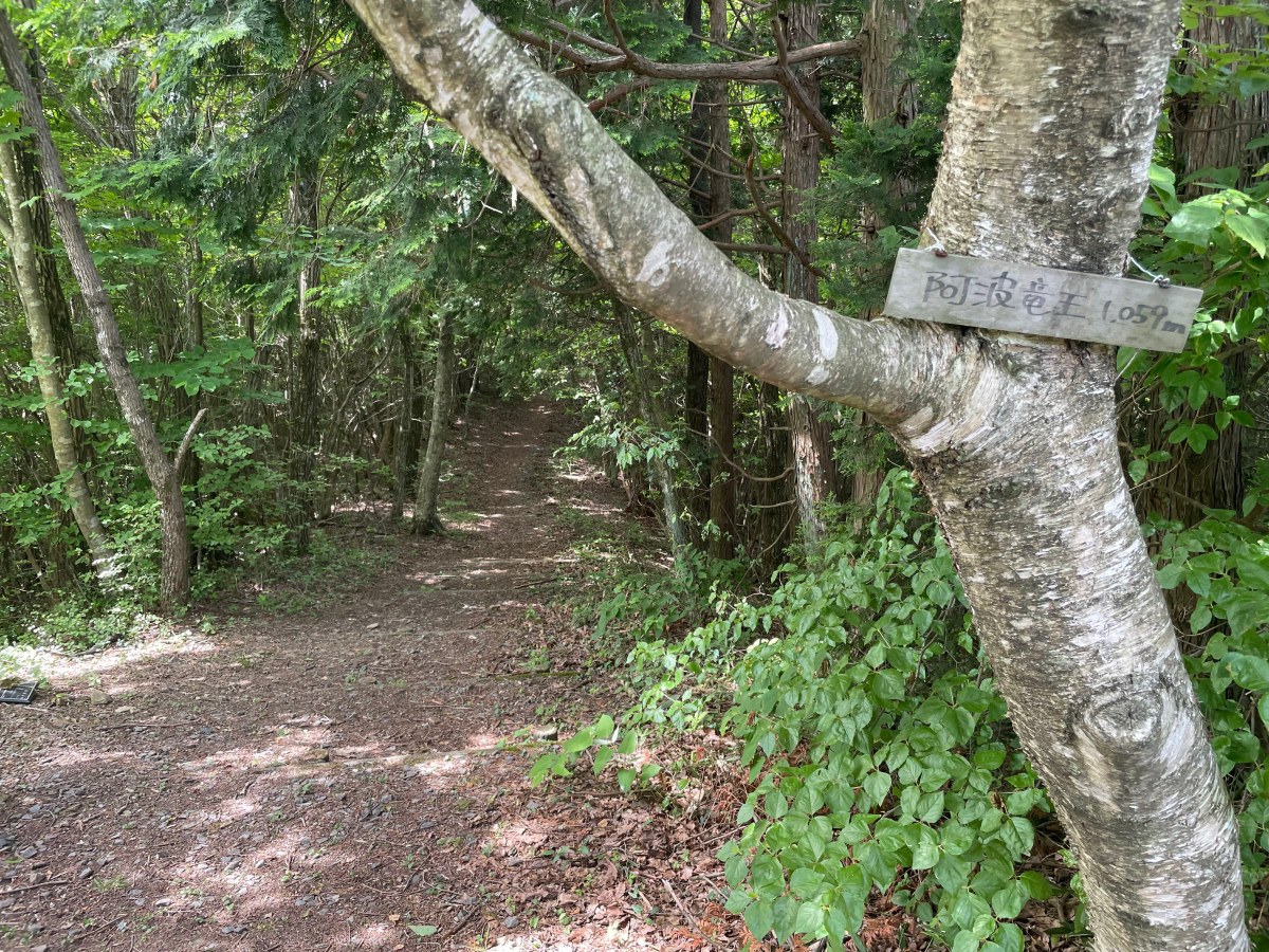 Ryuuou-san / 竜王山