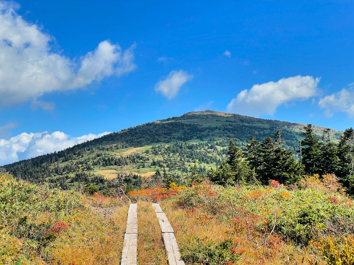 Moriyoshi-san / 森吉山