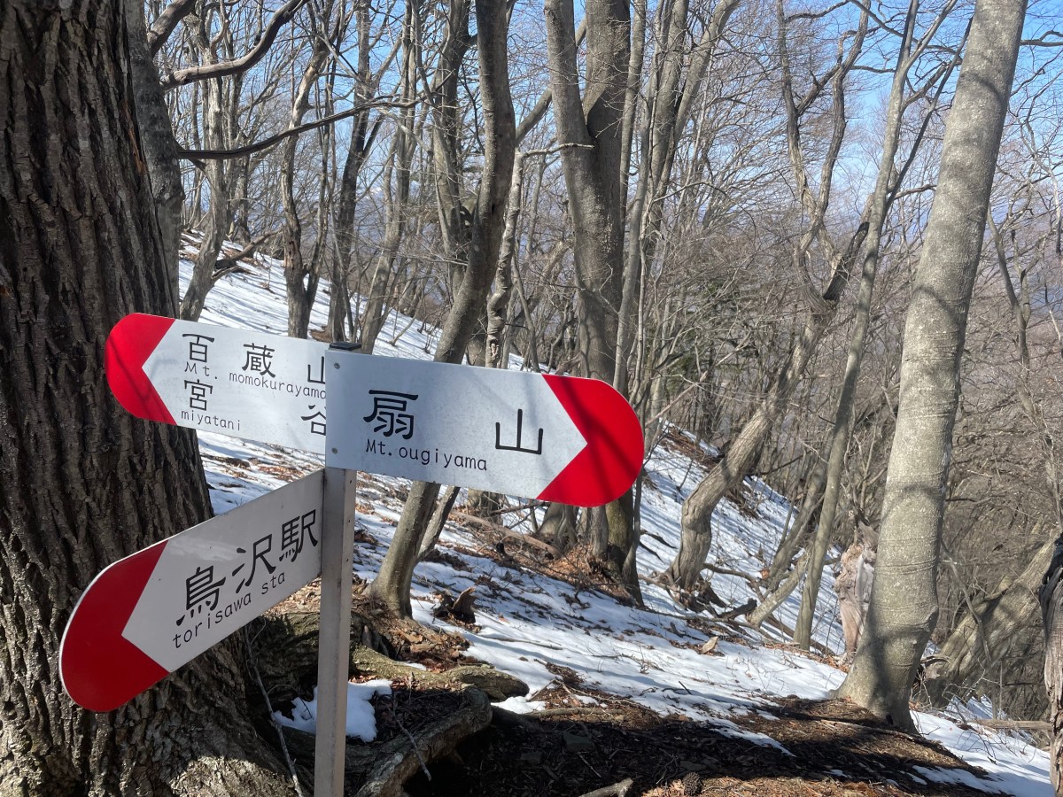 Ogiyama / 扇山&nbsp;(Revenge)